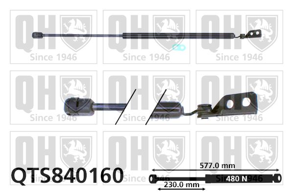 QUINTON HAZELL Газовая пружина, крышка багажник QTS840160